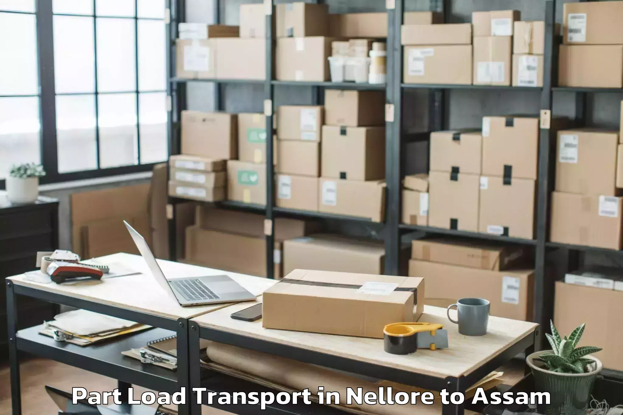 Top Nellore to Phuloni Part Load Transport Available